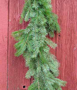 Garland